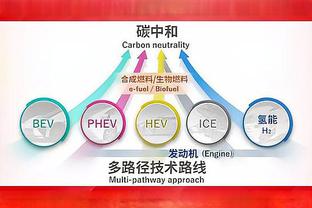 三双又在招手？小萨博尼斯半场8中6砍下12分10板6助&正负值+22